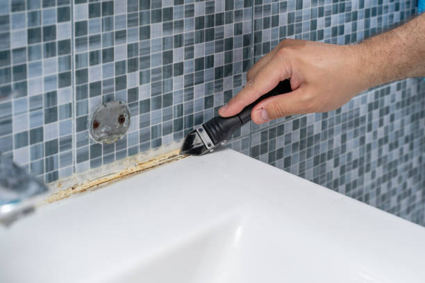 Best Mold Removal and Inspection  in Tamaqua, PA