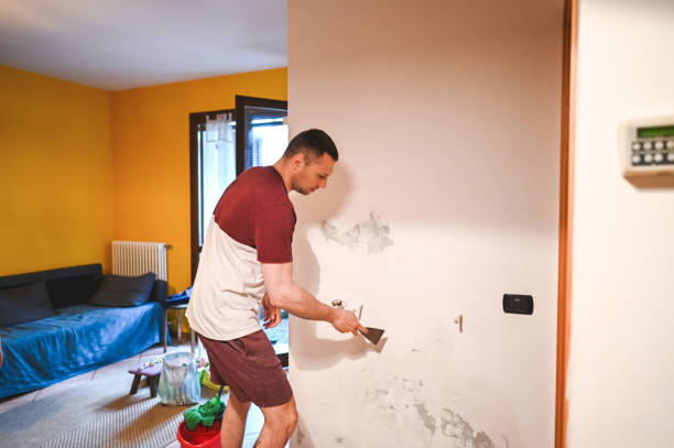 Best Office Mold Removal Services  in Tamaqua, PA